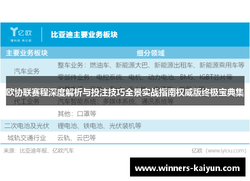 欧协联赛程深度解析与投注技巧全景实战指南权威版终极宝典集