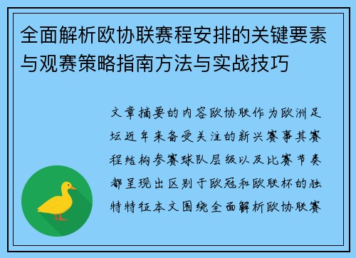 全面解析欧协联赛程安排的关键要素与观赛策略指南方法与实战技巧